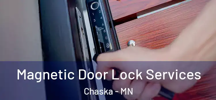 Magnetic Door Lock Services Chaska - MN